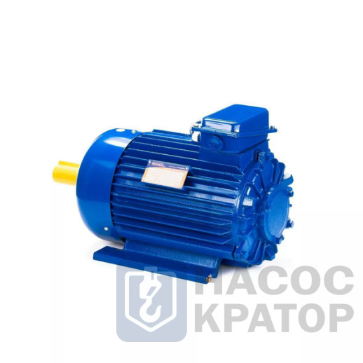 Электродвигатель 5MTKH 132 LB6