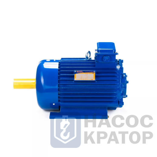Электродвигатель 5MTKH 132 LB6