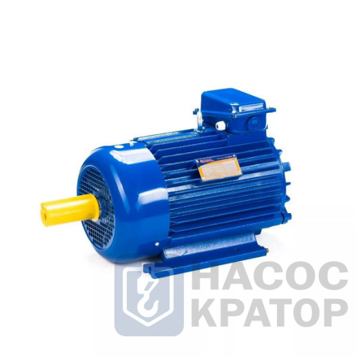 Электродвигатель 5MTKH 132 LB6