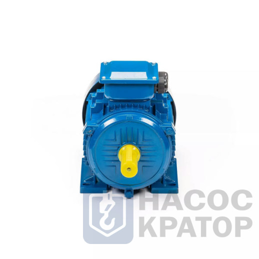 Электродвигатель 5АИ 100 L6 2,2/1000 IM1081