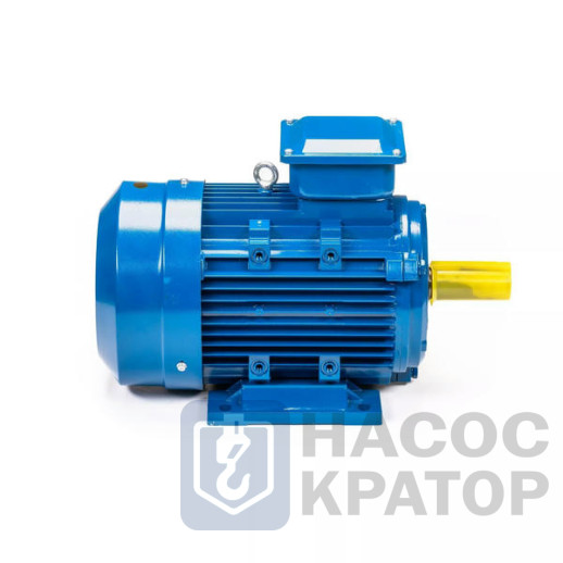 Электродвигатель 5АИ 100 L6 2,2/1000 IM1081