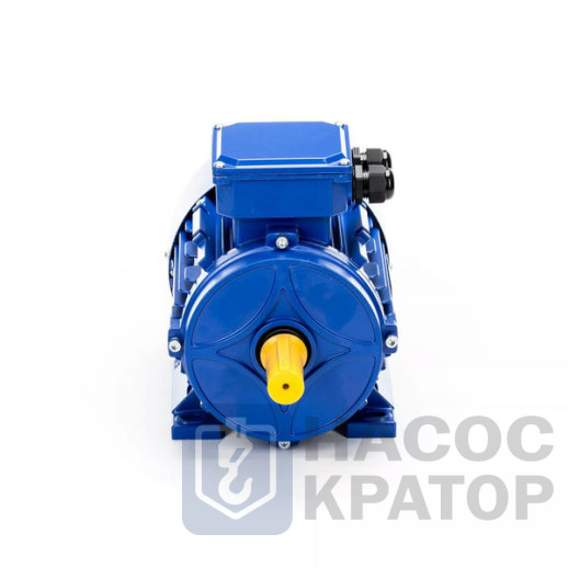 Электродвигатель 5АИ 63 А6 0,18/1000 IM1081