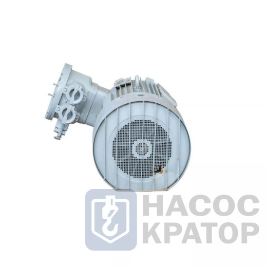 Электродвигатель 2АИМУРЧР 280 М4-3 У1, 380/660В, класс изоляции Н, 1ExdIIBT4 Gb, РТС (статор), IC411, подшипники SKF (задний токоизолир,), 160/1500 IM1001