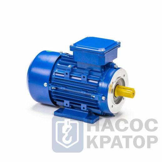 Электродвигатель 5АИ 63 В2 FT100 0,55/3000 IM2181