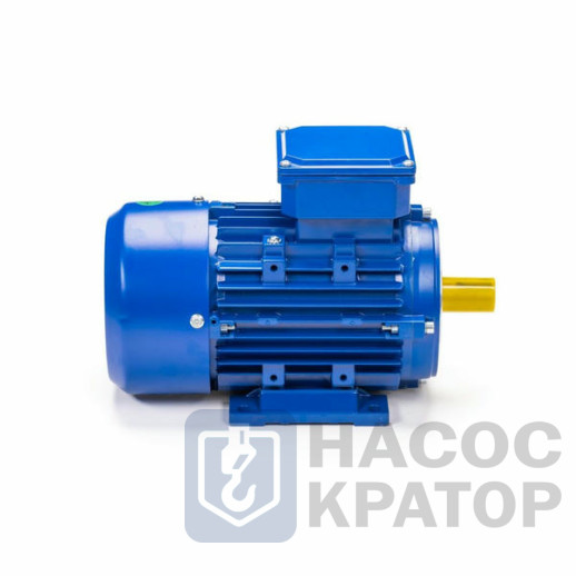 Электродвигатель 5АИ 63 В2 FT100 0,55/3000 IM2181