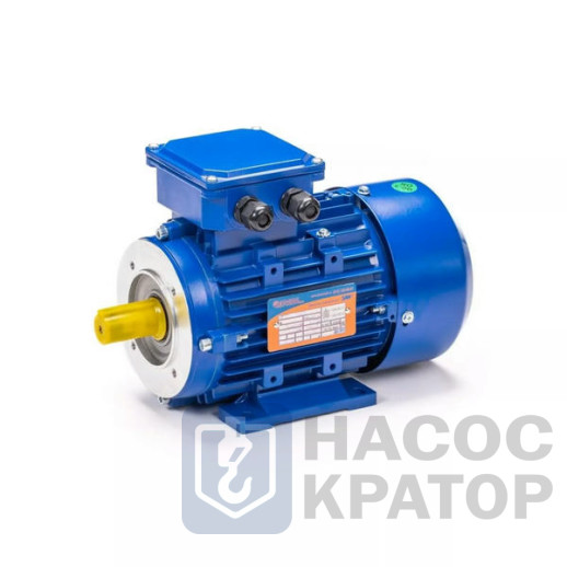 Электродвигатель 5АИ 63 В2 FT100 0,55/3000 IM2181