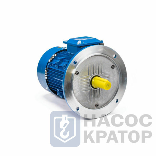 Электродвигатель 5АИ 100 S2 4/3000 IM3081