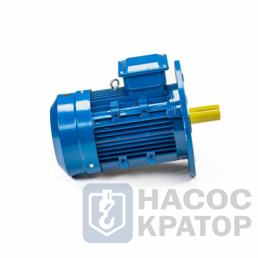 Электродвигатель 5АИ 100 S2 4/3000 IM3081