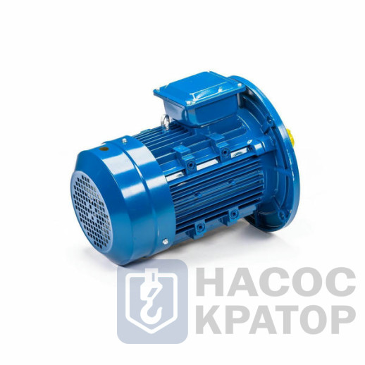 Электродвигатель 5АИ 100 S2 4/3000 IM3081