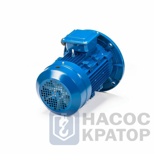 Электродвигатель 5АИ 100 S2 4/3000 IM3081