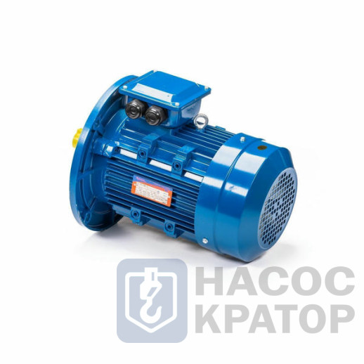 Электродвигатель 5АИ 100 S2 4/3000 IM3081