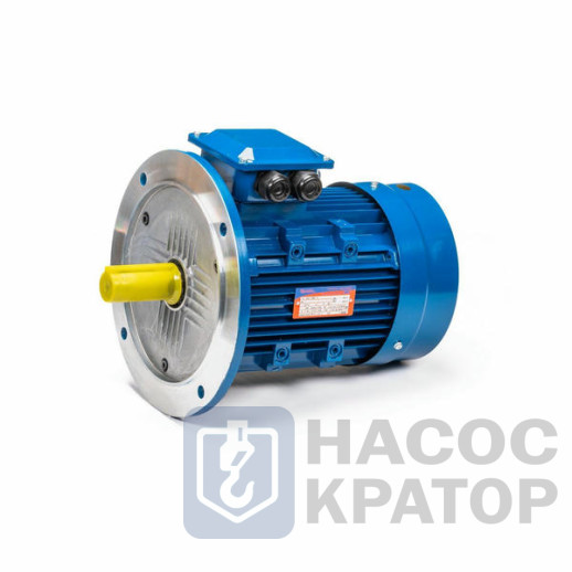 Электродвигатель 5АИ 100 S2 4/3000 IM3081