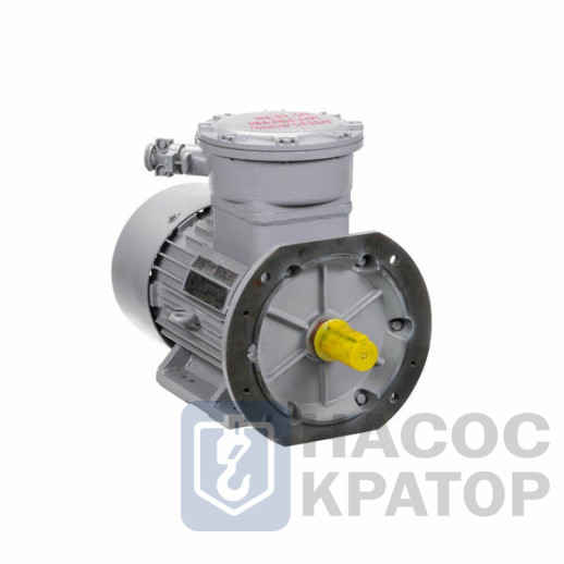 Электродвигатель АИМУР 132 S6 У2,5 380/660В, класс изоляции Н, РВExdI Mb, 5,5/1000 IM2081