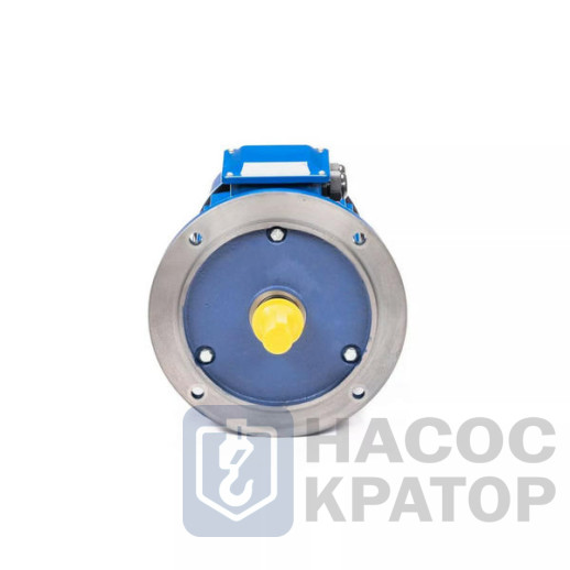 Электродвигатель 5АИ 100 S2 4/3000 IM2081