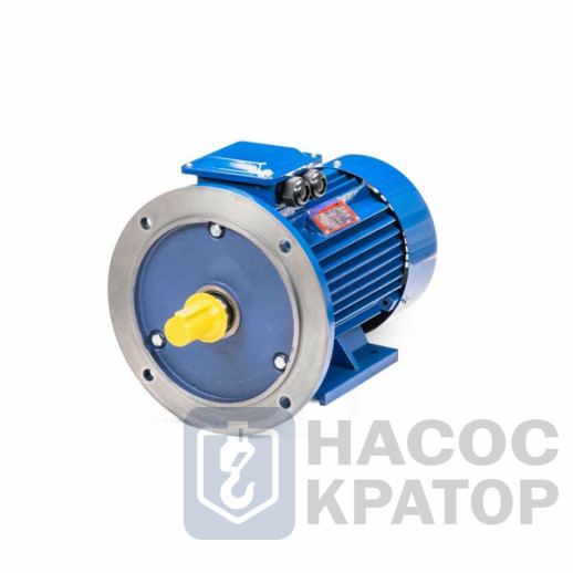 Электродвигатель 5АИ 100 S2 4/3000 IM2081