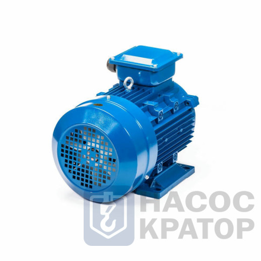 Электродвигатель 5АИ 100 S2 4/3000 IM1081