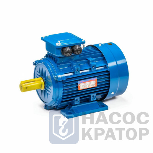 Электродвигатель 5АИ 100 S2 4/3000 IM1081