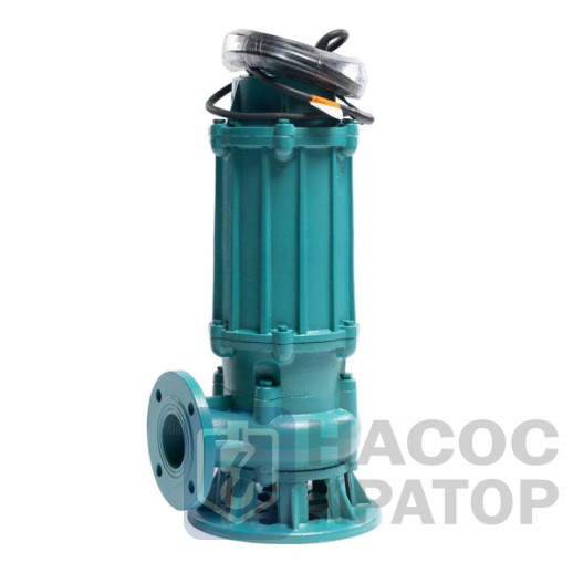 Насос ГНОМ-М 100-25-100/11-380