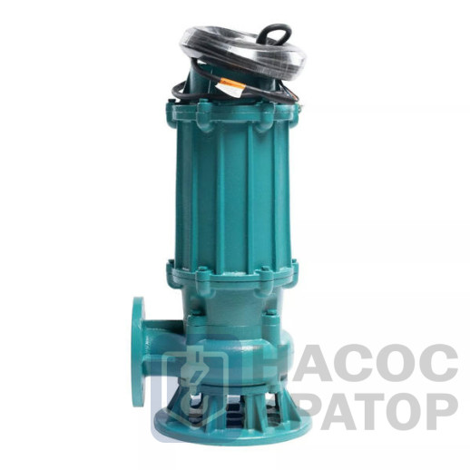 Насос ГНОМ-М 100-25-100/11-380