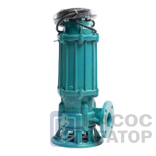 Насос ГНОМ-М 100-25-100/11-380