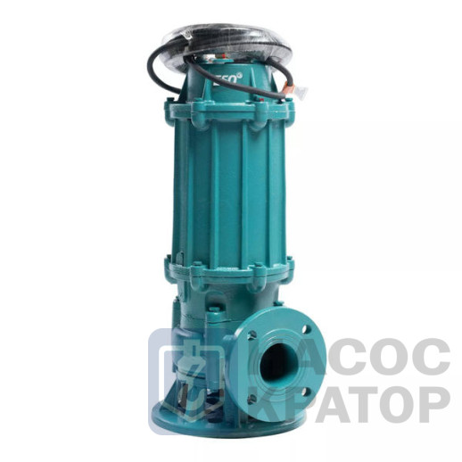 Насос ГНОМ-М 100-25-100/11-380