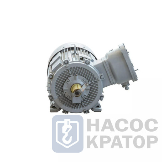 Электродвигатель 2АИМУР 280 S4 У1, 380/660В, класс изоляции F, 1ExdbIIBT4 Gb X, РТС (статор), подшипники SKF, 132/1500 IM1001