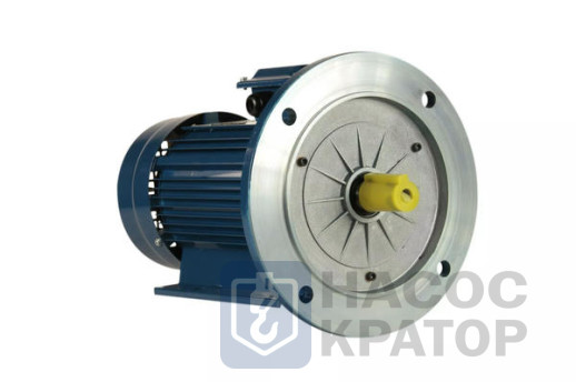 Электродвигатель 5АИ 90 L2 Ж У2 3/3000 IM2081