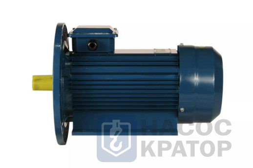 Электродвигатель 5АИ 90 L2 Ж У2 3/3000 IM2081