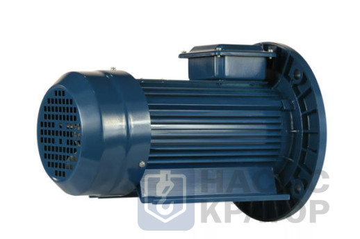 Электродвигатель 5АИ 90 L2 Ж У2 3/3000 IM2081