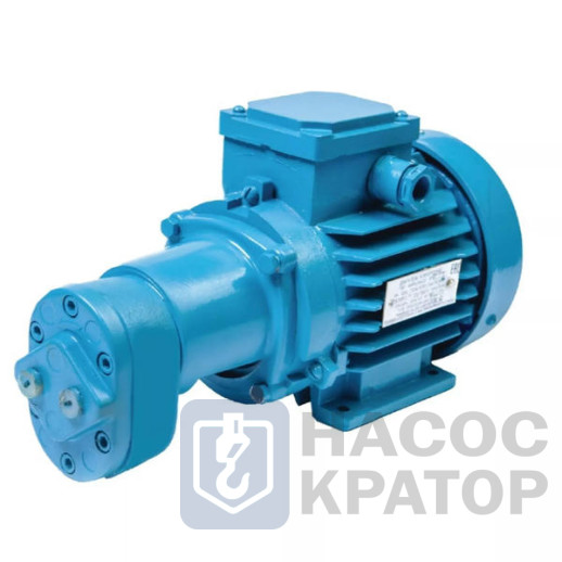 Насос БГ 11-11 с электродвигателем 0,25/1500