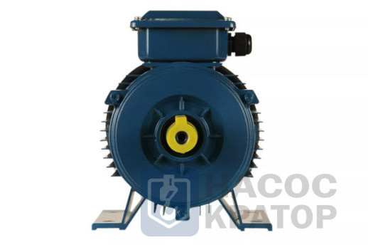 Электродвигатель 5АИ 90 LB8 1,1/750 IM1081