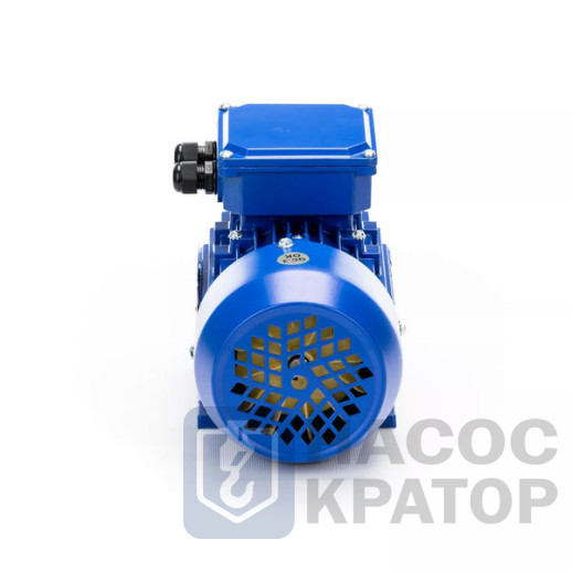 Электродвигатель 5АИ 63 В4 0,37/1500 IM1081