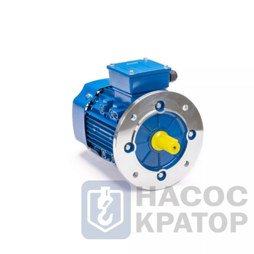 Электродвигатель 5АИ 90 L6 1,5/1000 IM3081