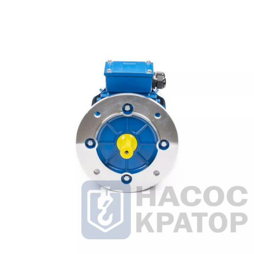 Электродвигатель 5АИ 90 L6 1,5/1000 IM3081