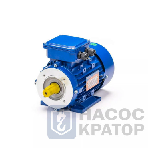 Электродвигатель 5АИ 90 L6 FT115 1,5/1000 IM2181