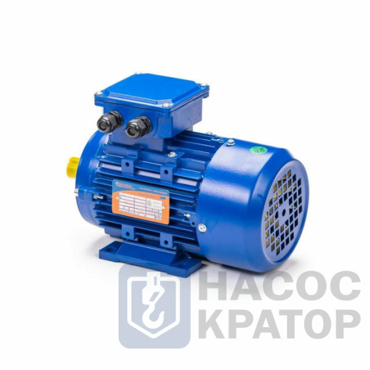 Электродвигатель 5АИ 63 А2 FT100 0,37/3000 IM2181