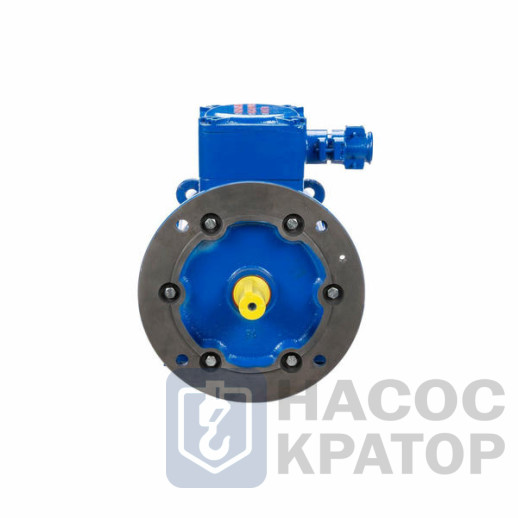 Электродвигатель АИМУ 100 L2 У1, 380В, 1ExdbIIBT4 Gb X, (LP) 5,5/3000 IM2081