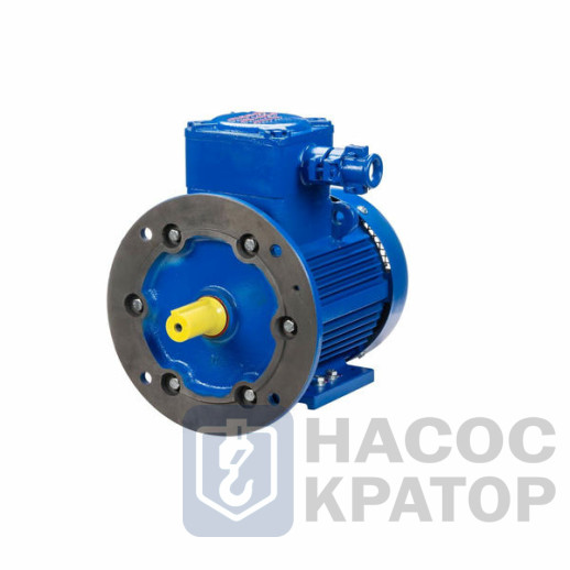 Электродвигатель АИМУ 100 L2 У1, 380В, 1ExdbIIBT4 Gb X, (LP) 5,5/3000 IM2081