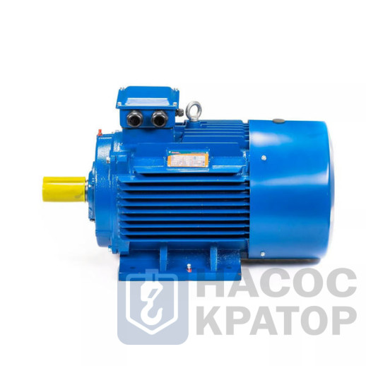 Электродвигатель 5АИ 355 LD4 500/1500 IM1001