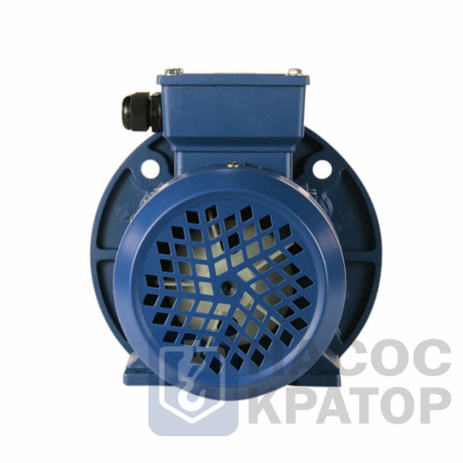 Электродвигатель 5АИ 90 L6 1,5/1000 IM2081