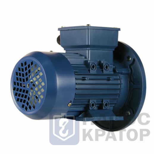 Электродвигатель 5АИ 90 L6 1,5/1000 IM2081