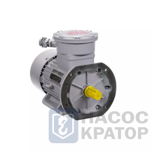 Электродвигатель АИМУР 160 М8 У2,5 380/660В, класс изоляции Н, PBExdI Mb/1ExdIIBT4 Gb 11/750 IM9781