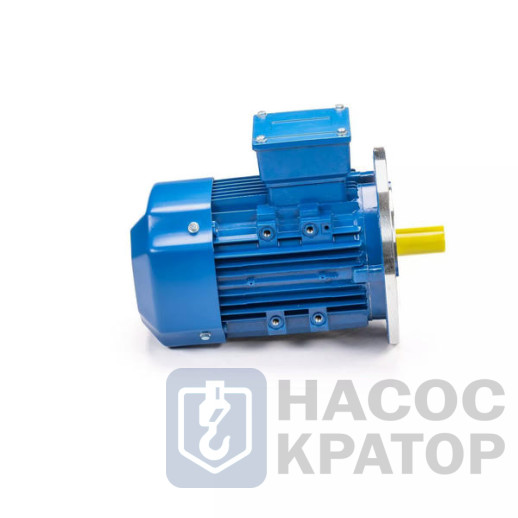 Электродвигатель 5АИ 90 LA8 0,75/750 IM3081