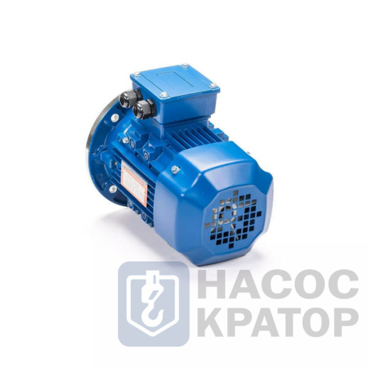 Электродвигатель 5АИ 90 LA8 0,75/750 IM3081