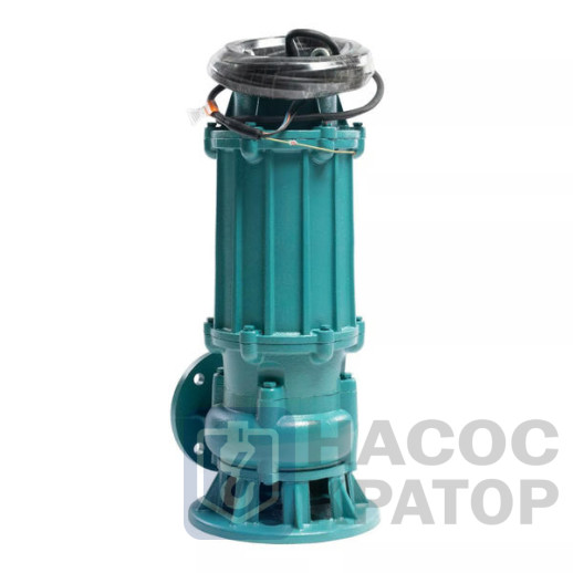 Насос ГНОМ-М 40-25-80/5,5-380