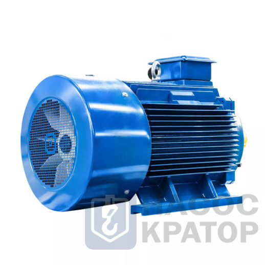 Электродвигатель 5АИ 355 S2 250/3000 IM1001